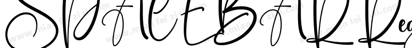 SPACEBAR Regular字体转换